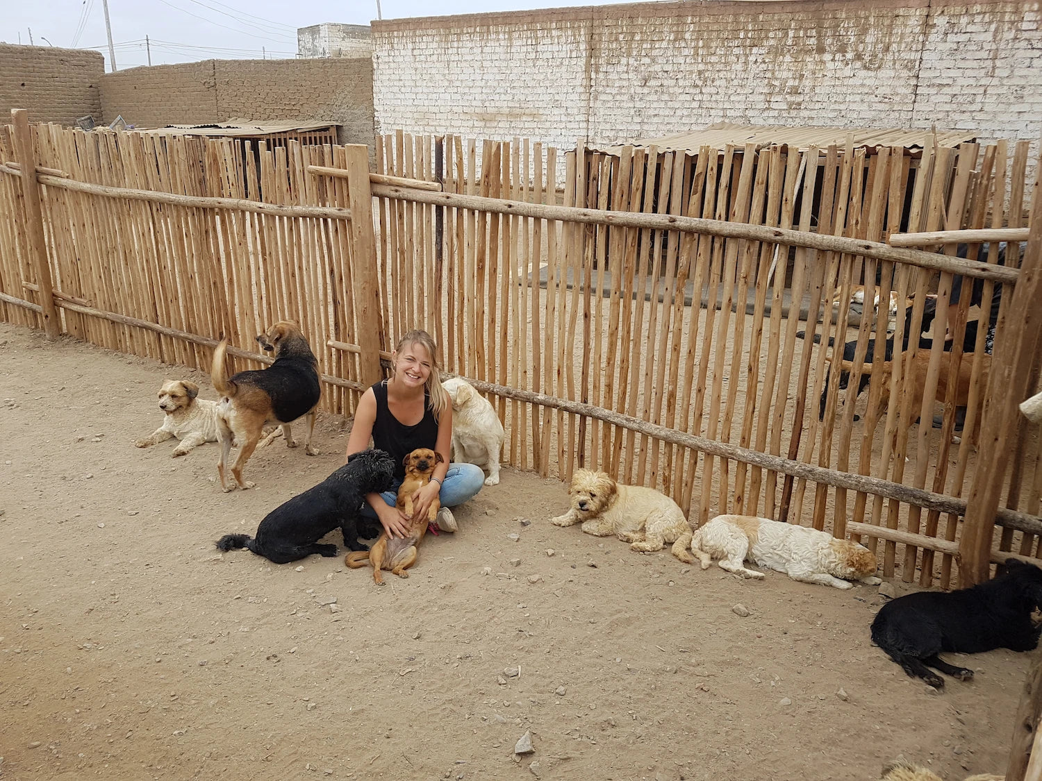 hej iara Gründerin mit Strassenhunden in der Tierauffangstation – für jeden Kauf spenden wir ans Tierheim