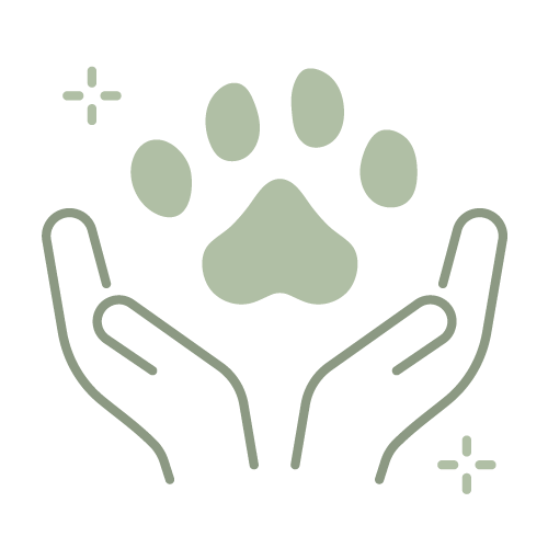 hej iara unterstützt Tiere in Not