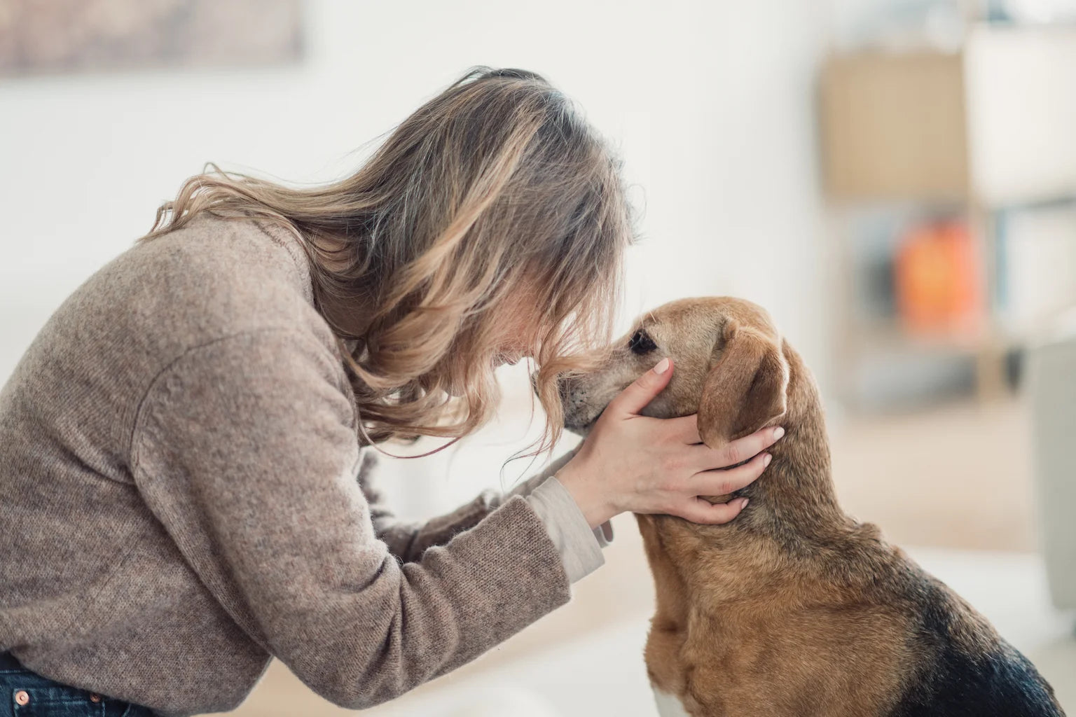 Hund wird liebevoll geknuddelt