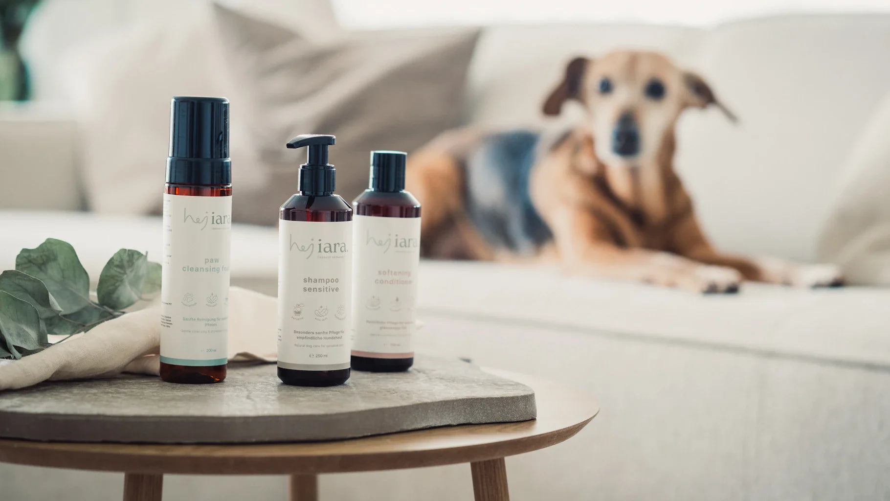 hej iara natürliche Hundepflegeprodukte – Pfotenschaum, Sensitive Shampoo & Conditioner mit Iara im Hintergrund