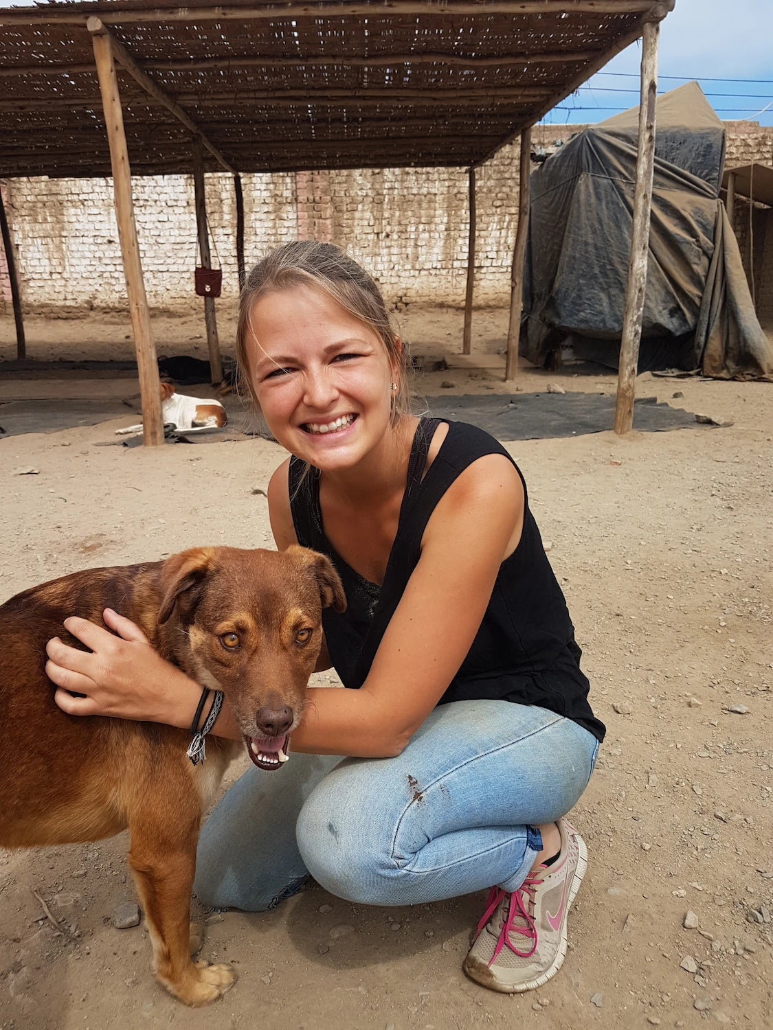 hej iara Gründerin mit einem Strassenhund im Tierheim – Tierschutz ist unsere Mission